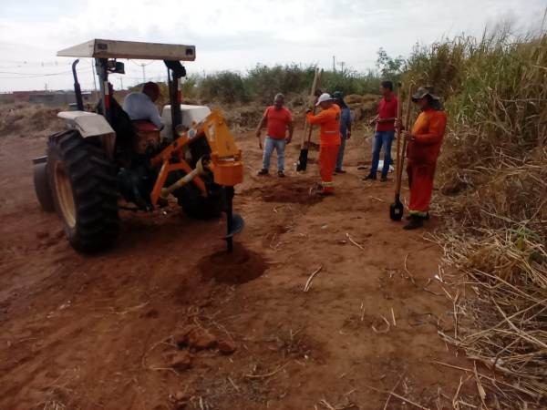 Hortolândia planta mudas de árvores em área de preservação na Vila Verde