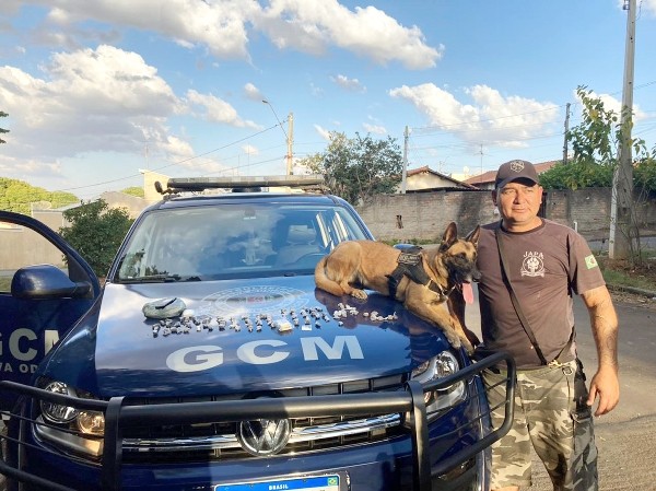 GCM ‘Japa’, de Nova Odessa, e cadela Mel’s conquistam torneio internacional K9 no Uruguai