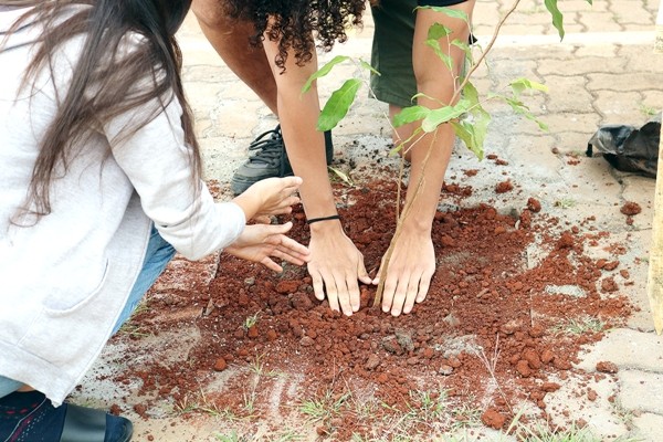 Nova Odessa comemora Dia da Árvore com plantio de 221 mudas em várias praças e escolas da cidade