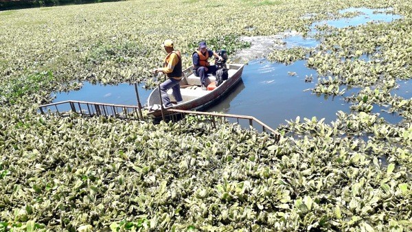 Lagoa do Jardim Amanda, em Hortolândia, recebe limpeza do espelho d’água
