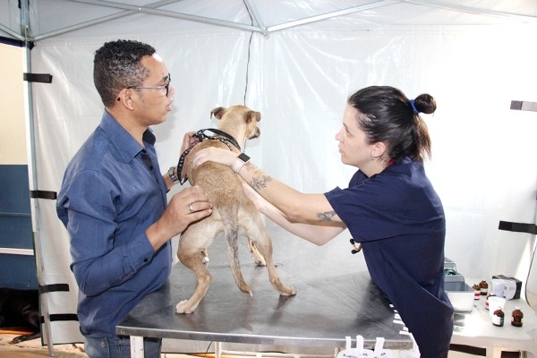 Hortolândia abre inscrição para castração de cães e gatos nesta segunda-feira, às 8h30