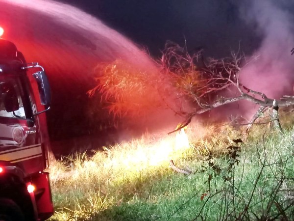 Fogo se alastra em área de mata e incêndio atinge casa abandonada em Nova Odessa
