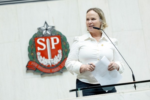 Deputada Ana Perugini sai em defesa de professores de ETECs e Fatecs