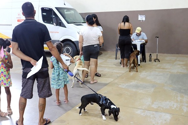 Castração e microchipagem atendem 469 cães e gatos em Monte Mor