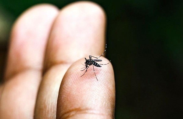 Estado repassa R$ 3,5 milhões para região enfrentar a dengue