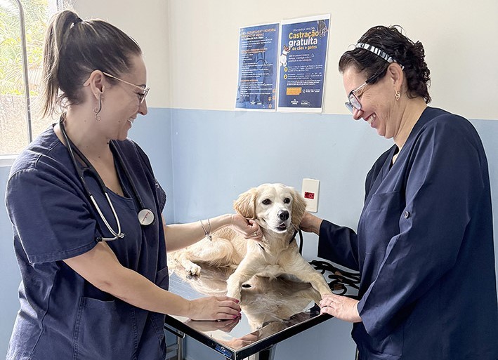 Ex-tutora de cão abandonado em Nova Odessa se diz arrependida e procura Bem-Estar Animal