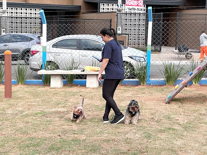 Abertas inscrições para a ‘Caminhada Pet’ de Nova Odessa, que acontece neste domingo