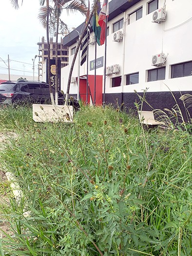 Mato alto toma conta do 1º Distrito Policial, na área central de Sumaré
