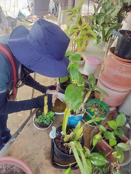 Zoonoses ultrapassa 10 mil ações contra dengue em Nova Odessa