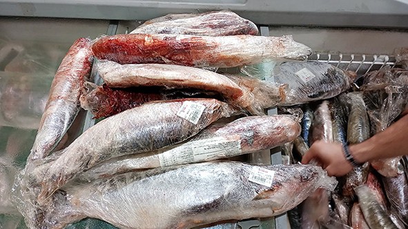 Vigilância apreende 42 kg de carne imprópria em Sumaré