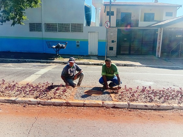 Canteiros de Nova Odessa ganham nova vida com plantas coloridas e de fácil manutenção