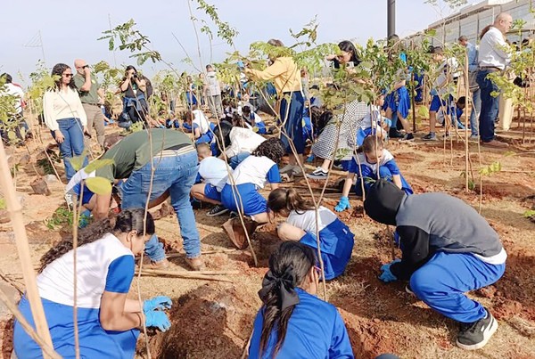 Área ao lado do Paço ganha microfloresta urbana em Hortolândia