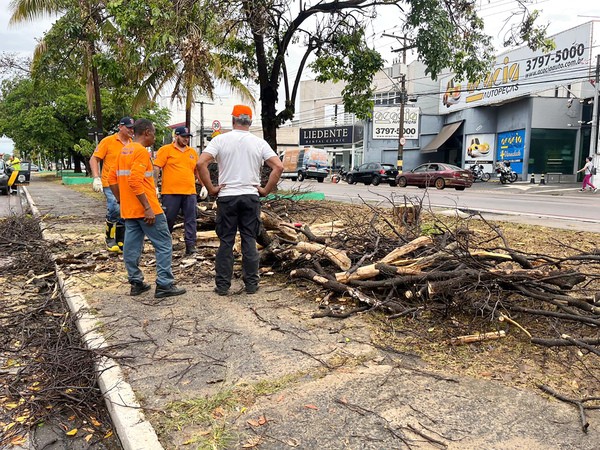 Forte chuva arrasta motocicleta, alaga casa e derruba 20 árvores em Sumaré