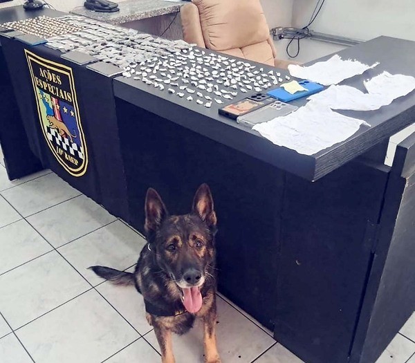 Baep apreende drogas e prende dois suspeitos em Nova Odessa