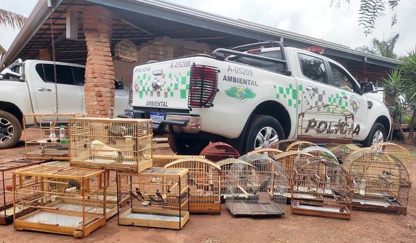 Polícia Ambiental resgata 46 aves silvestres que estavam em cativeiro de Hortolândia