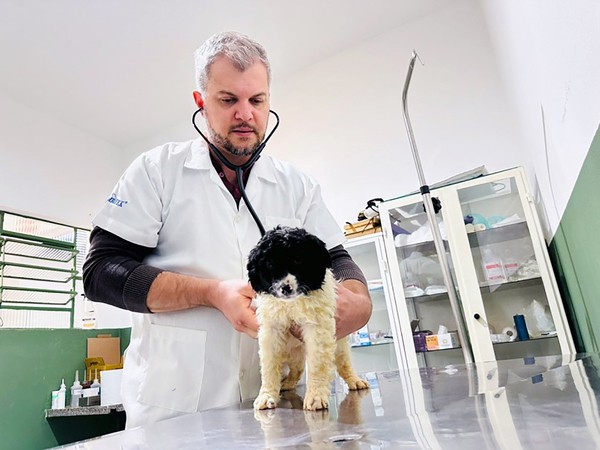 Bem-Estar Animal de Sumaré já realizou mais de 1,2 mil atendimentos em 2025