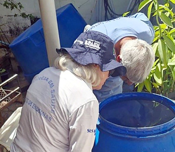 Sumaré registra 17ª morte por dengue em 2025, aponta Estado