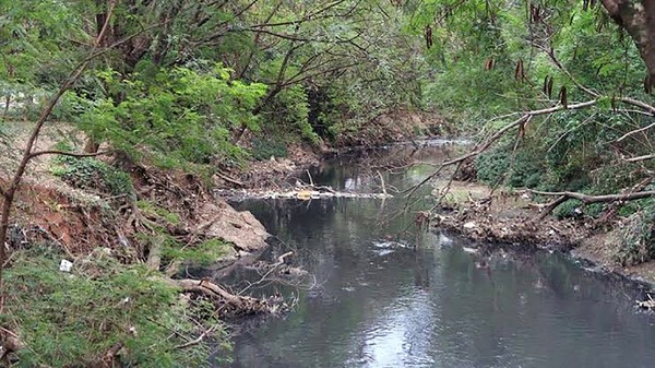 Moradores de Sumaré se mobilizam em ação de recuperação do Quilombo