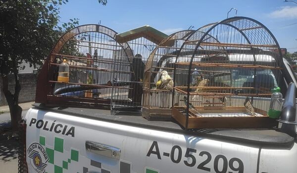 Dono de agropecuária é multado em R$ 85 mil por maus-tratos em Sumaré