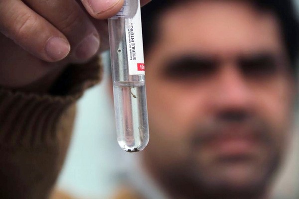 População deve redobrar cuidados contra Aedes em Hortolândia