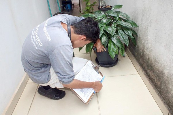 Americana avalia cenário e fortalece estratégias de enfrentamento da dengue