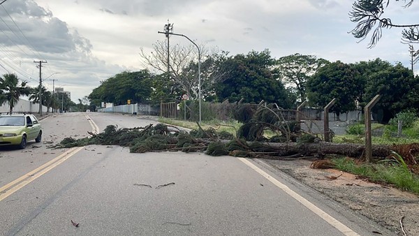Chuvas intensas colocam Defesa Civil de Monte Mor em operação de contingência