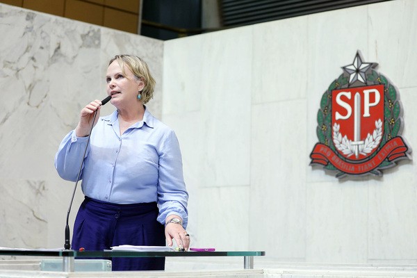 Procuradoria das Mulheres e ILP vão promover debate sobre letramento de gênero