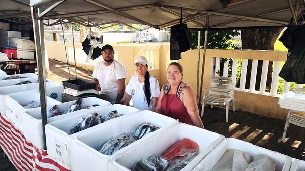 Feira do Peixe itinerante já começa e vai até a próxima sexta em Sumaré
