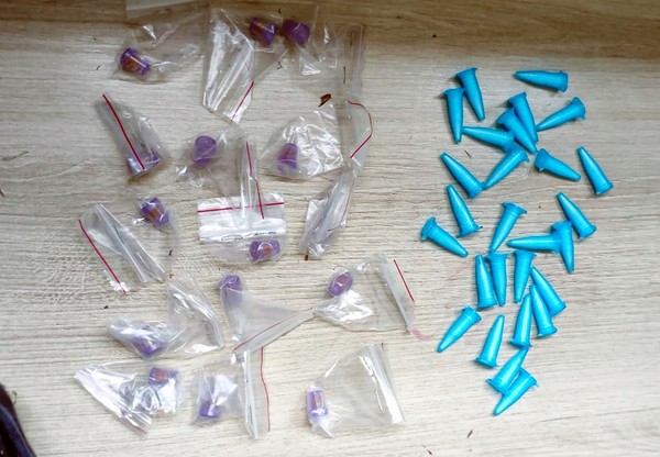 GM apreende drogas em abrigo e mulher é detida em Hortolândia