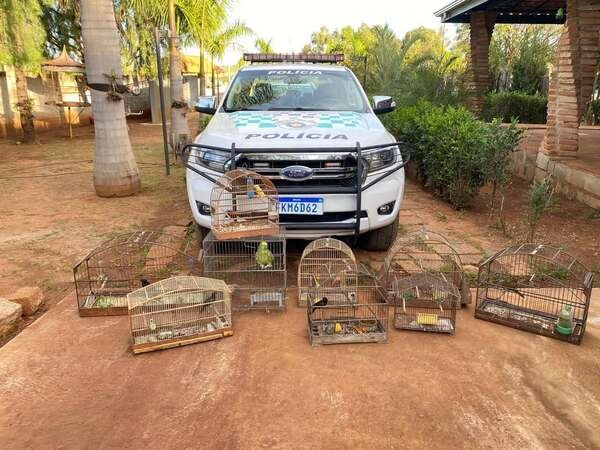 Polícia Ambiental resgata aves vítimas de maus-tratos e aplica mais de R$ 30 mil em multas em Hortolândia
