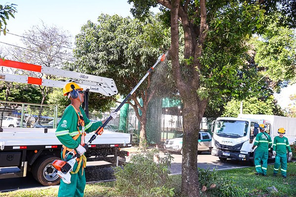Paulínia + Verde acelera revitalização e valorização entre espaços públicos