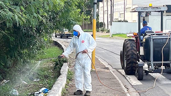 Americana usa agente biológico para controle do carrapato-estrela na cidade
