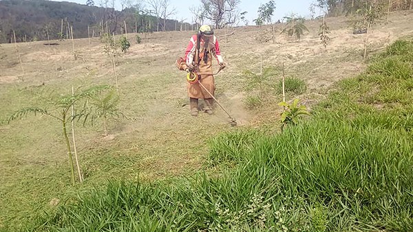 Refloresta Americana supera 3,4 mil mudas plantadas no Córrego Bertini