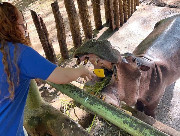 Parque Ecológico de Americana realiza manejos sanitários preventivos em animais